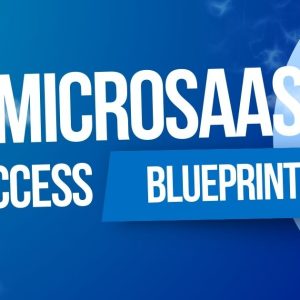 MicroSaaS Success Blueprint